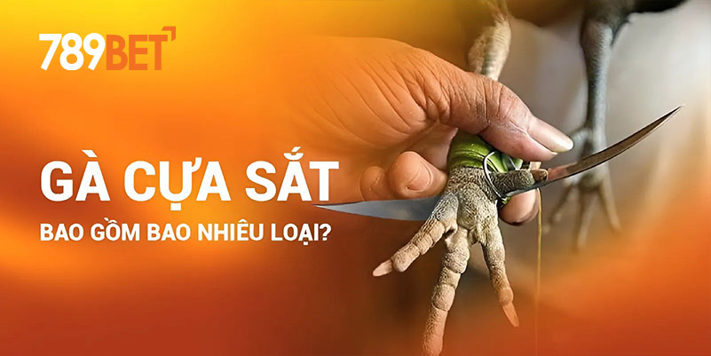 Gà cựa sắt bao gồm bao nhiêu loại?